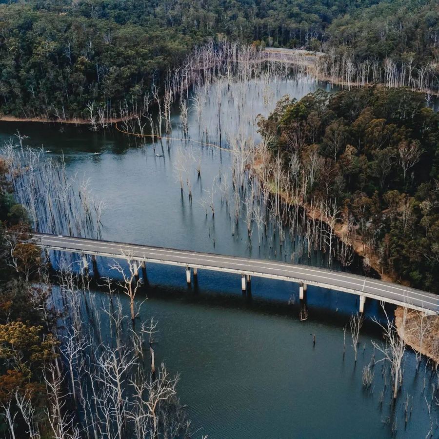 An aerial view of a river bridge through flooded trees